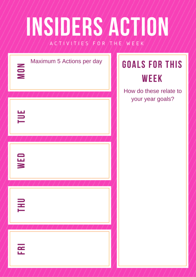 BWN INsiders planner image of