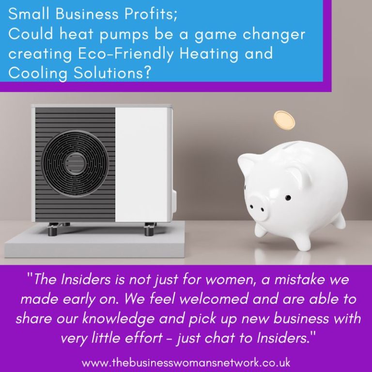 Small Business Profits – Could heat pumps be a game changer creating Eco-Friendly Heating and Cooling Solutions?