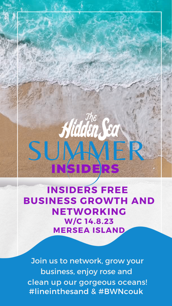 Hidden sea and BWN Insiders beach clean up, networking and business growth event