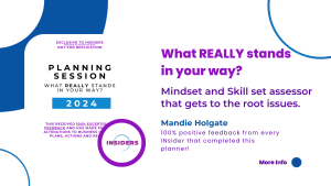 business owners What REALLY stands in your way mindest and skillset assessor mandie holgate