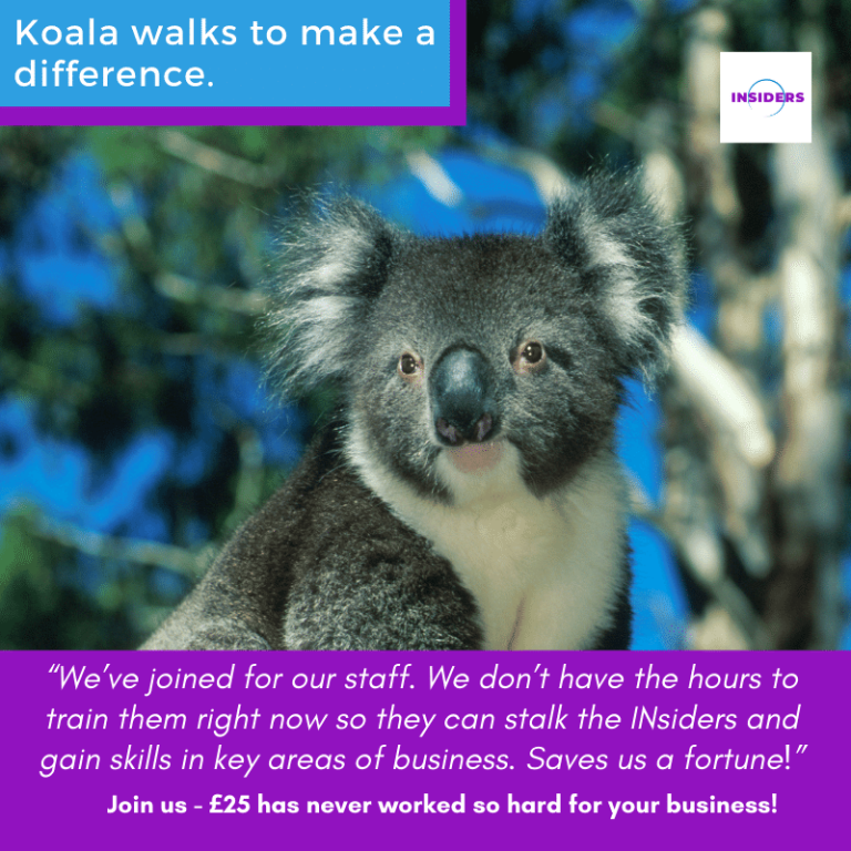 Koala walks To make a difference.