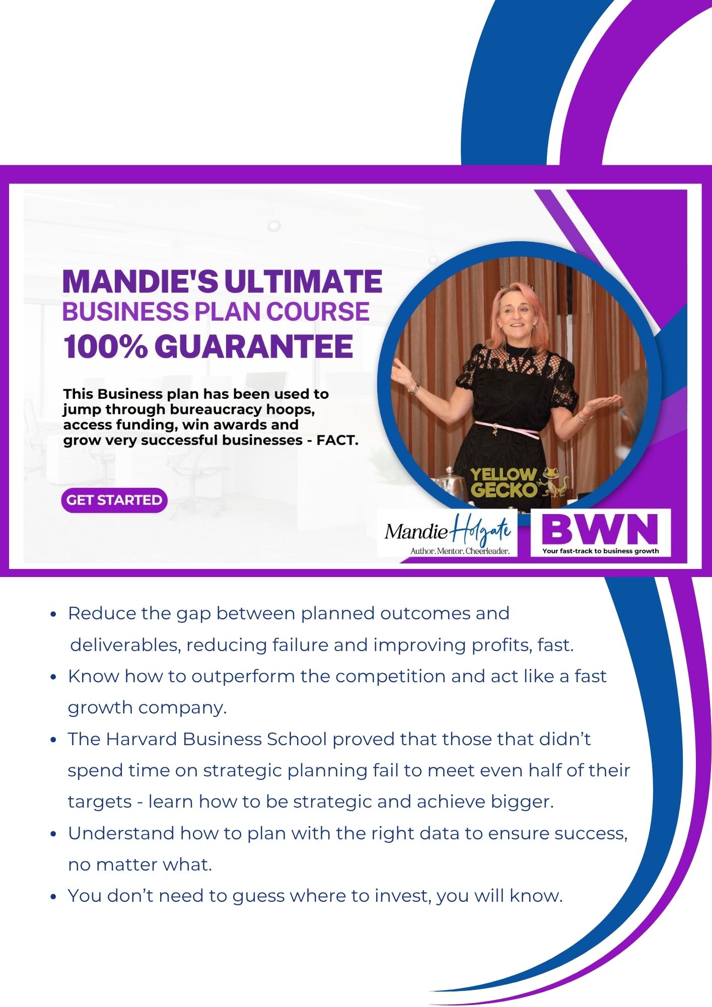 Mandies ultimate business course cover page to course